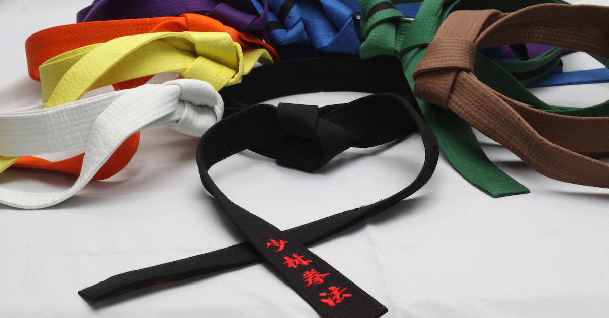 Potomac Kempo - Are You Successful