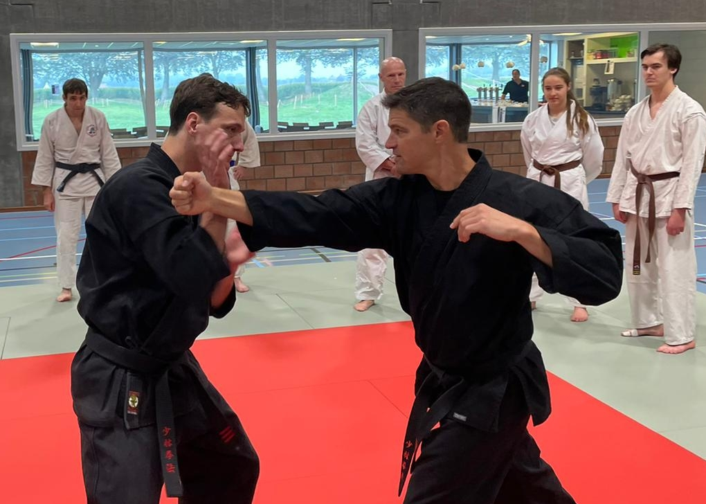Martial Arts, Fitness, and Self Defense for Everyone 3 255091643 926382898262529 1780236403904822271 n e1785260543213