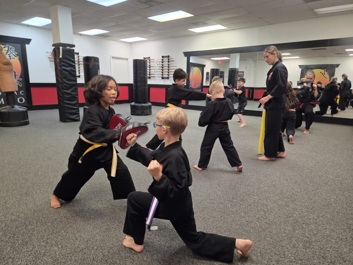 Martial Arts for Kids 2 A kids' Kempo in action, with children holding focus mits and punching in pairs